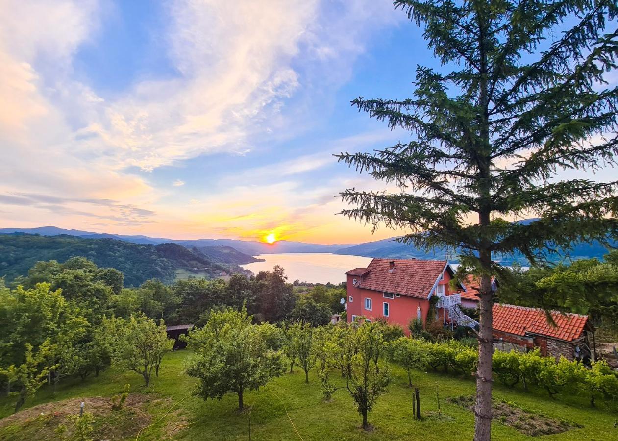 Apartmani Kuljanin Donji Milanovac Exteriér fotografie