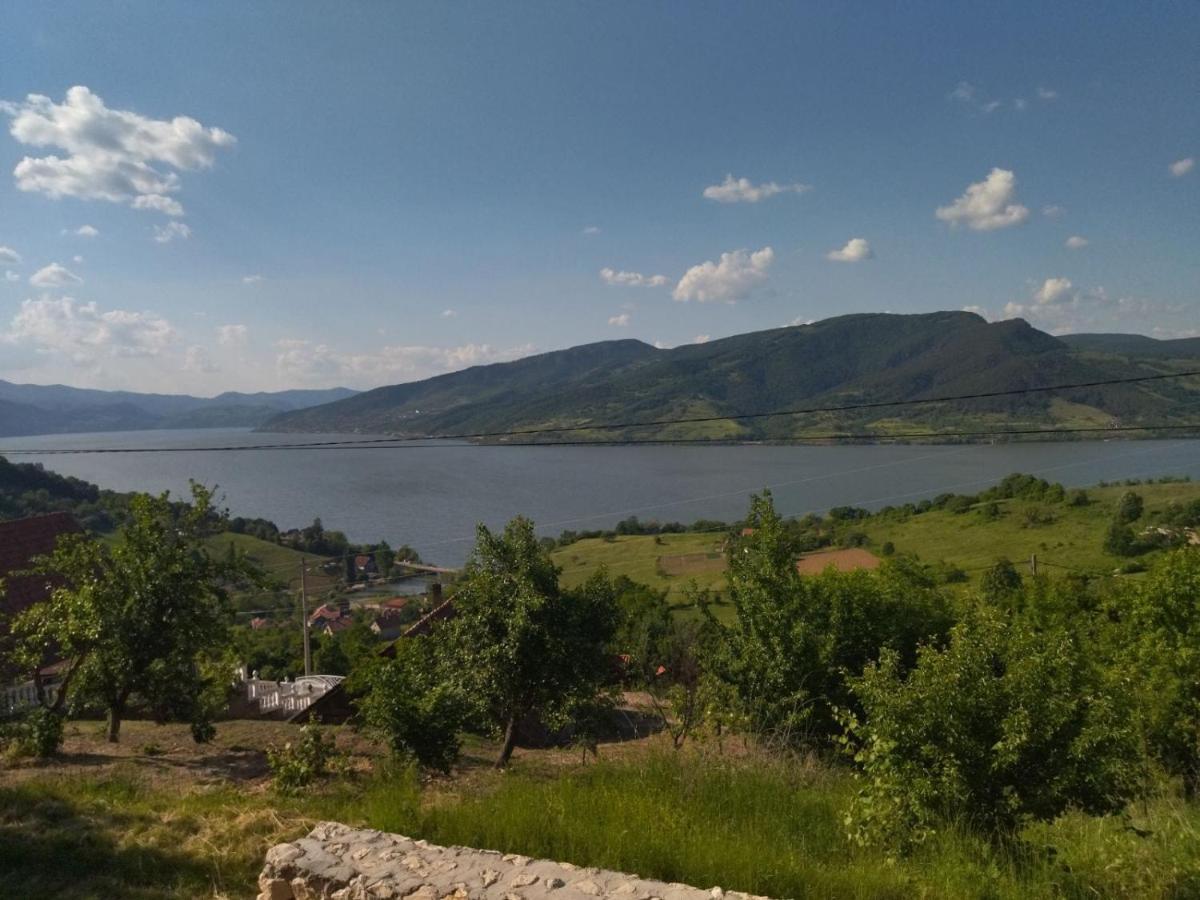 Apartmani Kuljanin Donji Milanovac Exteriér fotografie